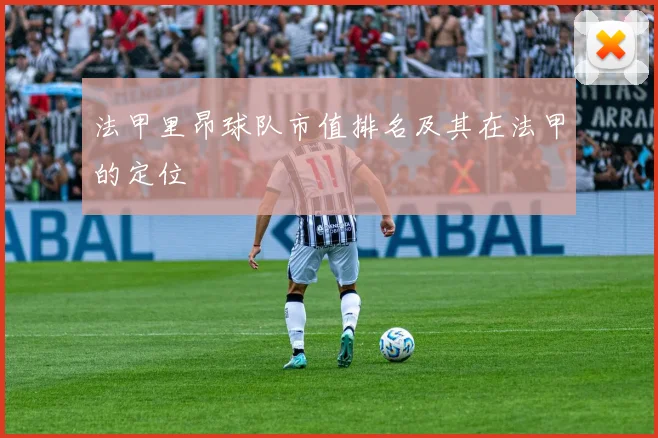 法甲里昂球队市值排名及其在法甲的定位
