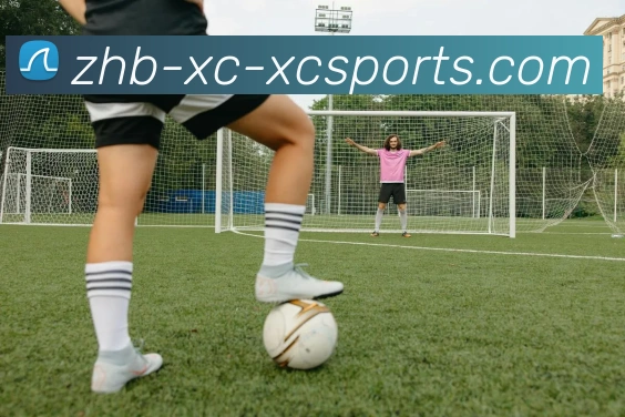 杏彩体育平台生态图