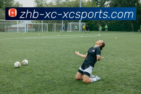 杏彩体育全站App