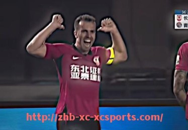 杏彩体育-大连为何没有CBA球队？城市篮球发展瓶颈探讨