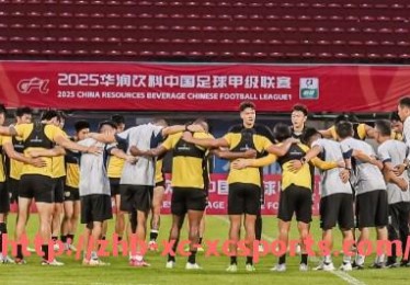 杏彩体育-法甲历史球员排名及职业生涯回顾